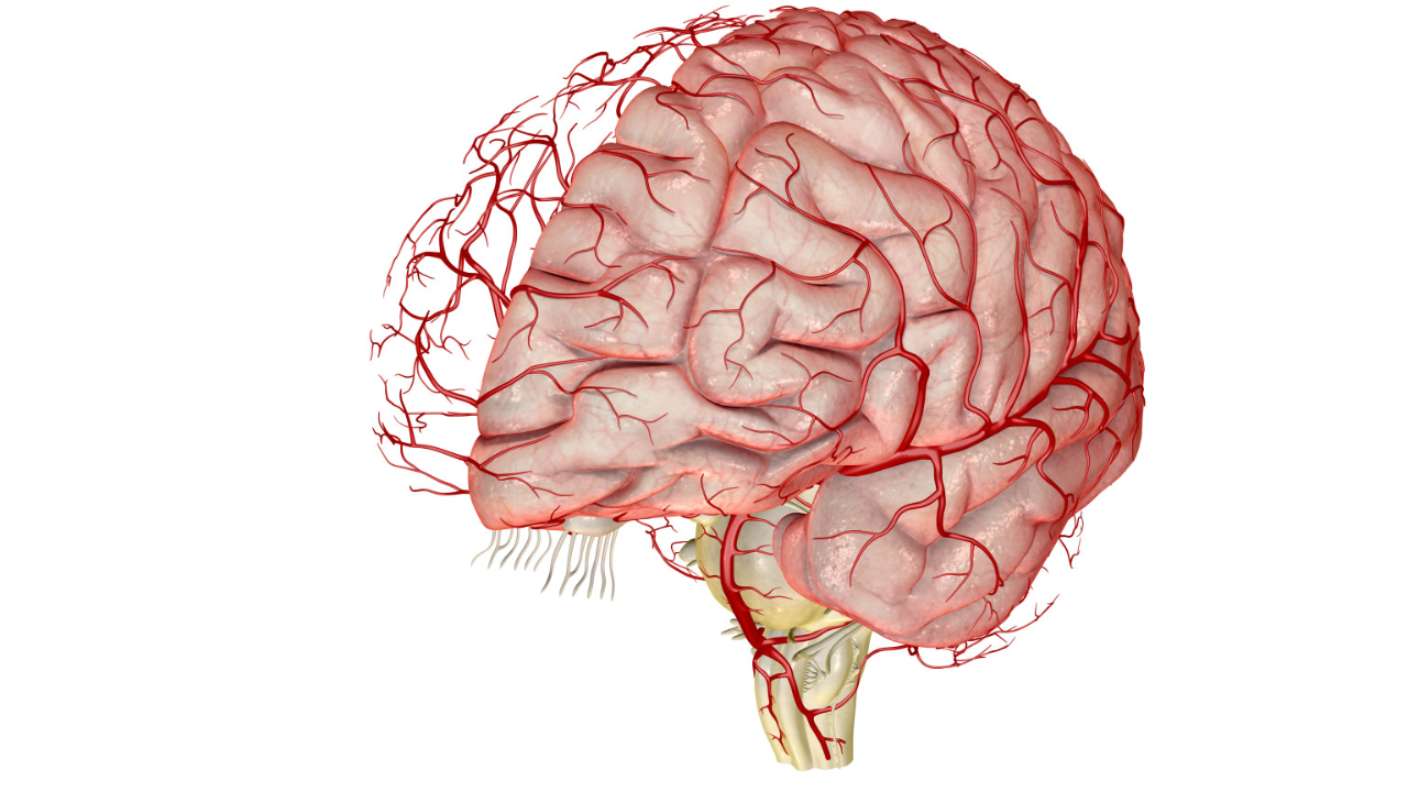 الجراحة العصبية للأوعية الدموية